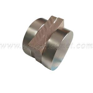 مغناطيس قرص النيوديميوم D101.6X25.4mm مغناطيس دائم قوي